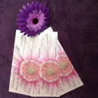 Business 8 image SAMANTHA JANES BEAUTY Beauty Salons & Consultants in Romford Gr