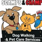 Business 1 image SCAMPS & CHAMPS Pets & Animals in Derby De