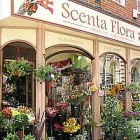 Business 1 image SCENTA FLORA Florists in Derby De