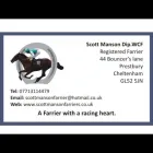 Business 3 image SCOTT MANSON FARRIERS Pets & Animals in Cheltenham Gl