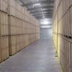 Business 17 image SEA FISHING TRIPS Tours & Sightseeing in GREAT YARMOUTH No