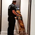 Business 18 image SEARCH & SECURITY LTD Shopping & Retail in Hinckley Le