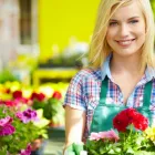 Business 1 image SEND FLOWERS Wedding Flowers in London Gr