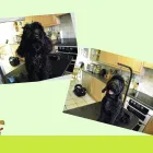 Business 9 image SEW 'N' SEW Wool Shops in Burton-On-Trent St