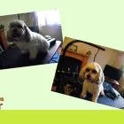 Business 1 image SEW 'N' SEW Wool Shops in Burton-On-Trent St