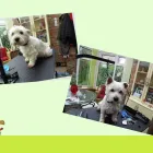 Business 2 image SEW 'N' SEW Wool Shops in Burton-On-Trent St