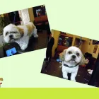 Business 3 image SEW 'N' SEW Wool Shops in Burton-On-Trent St