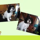 Business 4 image SEW 'N' SEW Wool Shops in Burton-On-Trent St