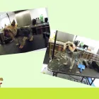 Business 5 image SEW 'N' SEW Wool Shops in Burton-On-Trent St