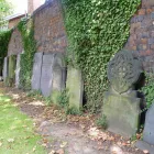 Business 4 image SHELLY COLES Complementary Therapies in GREAT YARMOUTH No