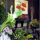 Business 1 image SILCHESTER GARDEN DESIGNERS Garden Designers in Reading Be