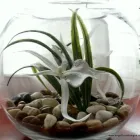 Business 8 image SILK FLOWER HOUSE Wedding Supplies in Beaconsfield Bu