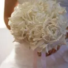 Business 15 image SILK FLOWER HOUSE Wedding Supplies in Beaconsfield Bu