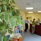 Business 3 image SKELIAN CHIROPRACTIC CLINIC Chiropractors in Cheltenham Gl