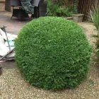 Business 27 image SLIMBRIDGE WETLAND CENTRE Nature & Wildlife Parks in Gloucester Gl