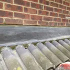 Business 10 image SLIMBRIDGE WETLAND CENTRE Nature & Wildlife Parks in Gloucester Gl