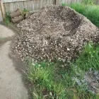 Business 7 image SMILING JOLLYS GARDEN SERVICES Weed Control in Beeston No