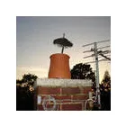 Business 5 image SNAX 24 LTD Petrol Stations in Hinckley Le