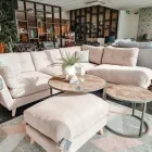 Business 11 image SOFOLOGY PAISLEY Home & Garden in Paisley Re