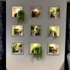 Business 48 image SOFOLOGY PAISLEY Home & Garden in Paisley Re
