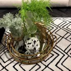 Business 57 image SOFOLOGY PAISLEY Home & Garden in Paisley Re