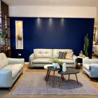 Business 81 image SOFOLOGY PAISLEY Home & Garden in Paisley Re