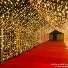 Business 15 image SOUNDWAVESLIGHTING Shopping & Retail in Southall Mi