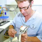 Business 1 image SOUTH COAST DENTAL SPECIALISTS LTD Dentists in WIMBORNE Do
