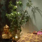 Business 2 image SPA TWENTY SIX Beauty Salons & Consultants in Glasgow La