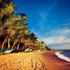 Business 2 image STA TRAVEL Travel Agents in Manchester Gr