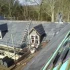 Business 1 image STAR BEERS Wine in London Gr