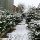 Business 7 image STUDENT LIVING Letting Agents in Nottingham No