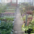 Business 10 image STUDENT LIVING Letting Agents in Nottingham No