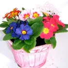 Business 11 image STUDENT LIVING Letting Agents in Nottingham No