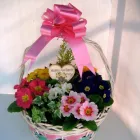 Business 2 image STUDENT LIVING Letting Agents in Nottingham No