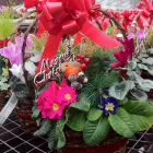 Business 3 image STUDENT LIVING Letting Agents in Nottingham No