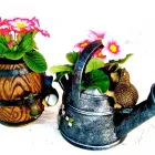 Business 4 image STUDENT LIVING Letting Agents in Nottingham No