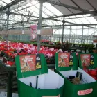 Business 5 image STUDENT LIVING Letting Agents in Nottingham No