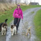 Business 6 image SUITE 16 FASHIONS Ladies Clothes Shops in Coventry We