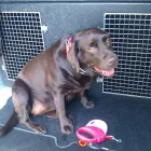 Business 3 image SUITE 16 FASHIONS Ladies Clothes Shops in Coventry We