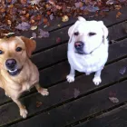 Business 4 image SUITE 16 FASHIONS Ladies Clothes Shops in Coventry We