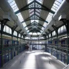 Business 1 image SUNGS PRODUCE Farmers in Preston La