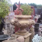 Business 16 image SUPERCUTS Hairdressers in Chelmsford Es