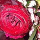 Business 1 image SYNERJE Beauty Salons & Consultants in Bolton La