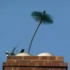 Business 1 image T5 CARS Chauffeur Driven Car Hire in Slough Be