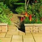 Business 1 image TDS PAVING AND LANDSCAPING Paving & Driveway Contractors in STAINES Mi