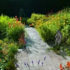 Business 5 image TDS PAVING AND LANDSCAPING Paving & Driveway Contractors in STAINES Mi