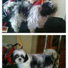 Business 1 image TEAM ALFA LTD Electrical Supplies in Tamworth St