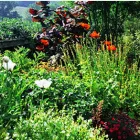 Business 10 image TEPP LTD Plastics Manufacturers & Supplies in Glasgow La