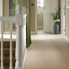 Business 4 image TERRY WEST CARPETS LTD Carpets & Rugs - Retail & Repair in Hinckley Le